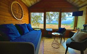 The Alexander At Creek Road